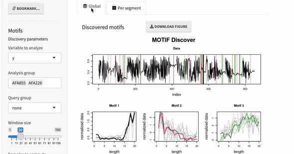 Motif Discovery Plot for a time series of y-axis position